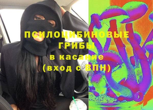 СК Тихвин
