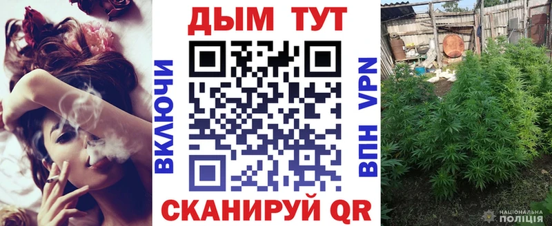 Канабис конопля  продажа наркотиков  Можайск 